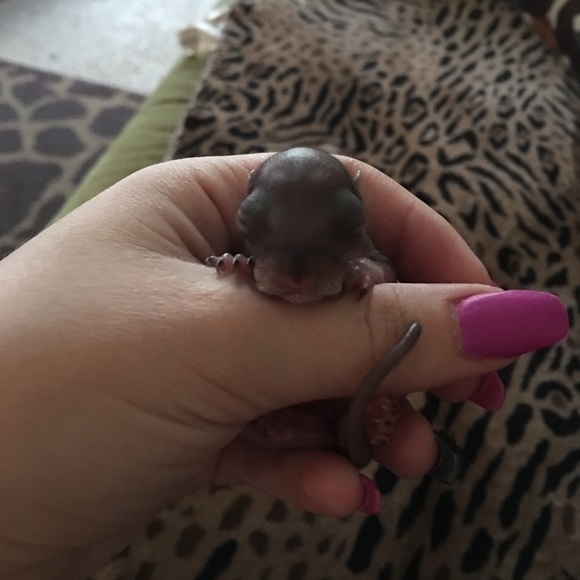 Meet your Posher, Chels - Picture 10 of 12